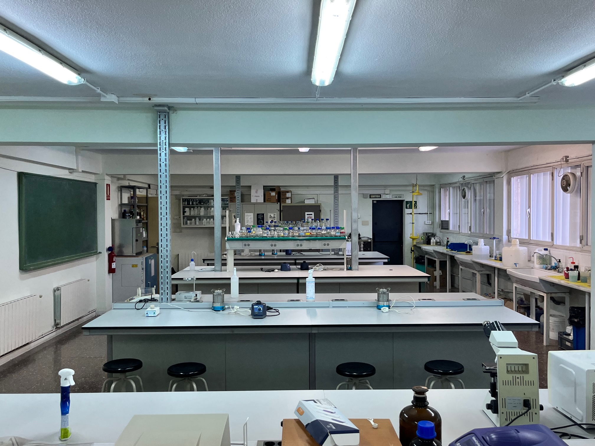 laboratori microbiologia biotecnologia